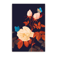 Hymenee Rose | Postcard